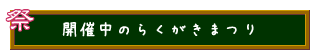 開催中のらくがきまつり