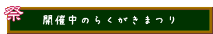 開催中のらくがきまつり