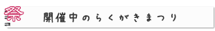 開催中のらくがきまつり